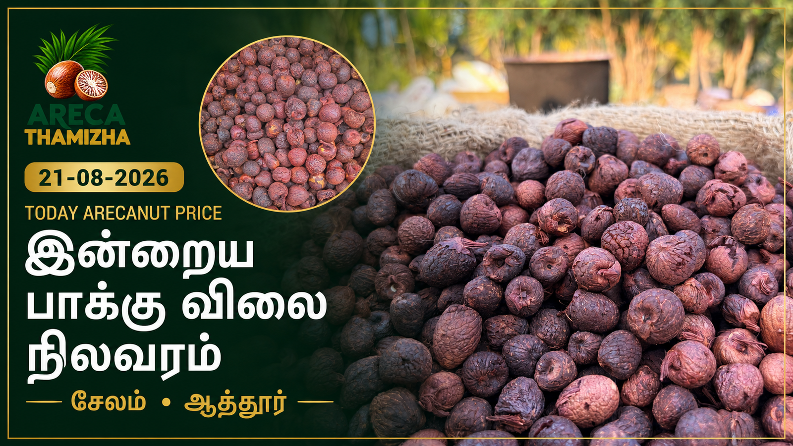 21-08-2026 Today Arecanut Price | இன்றைய பாக்கு விலை நிலவரம்: சேலம்–ஆத்தூர் மார்க்கெட் ரேட் – 21 ஆகஸ்ட் 2026